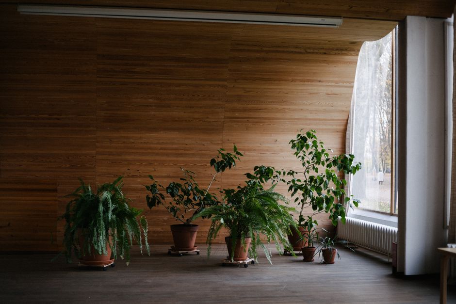 Eettafel versierd met bladeren en houten accenten. Eettafel versierd met bladeren en houten accenten.