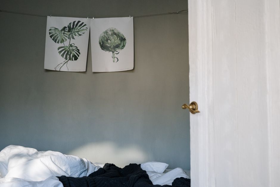 Combinatie van reeënposters en groene planten aan de muur. Combinatie van reeënposters en groene planten aan de muur.